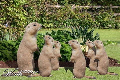 Photoshop Design by GrandmaNita