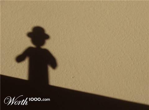 Photography by 10000trees