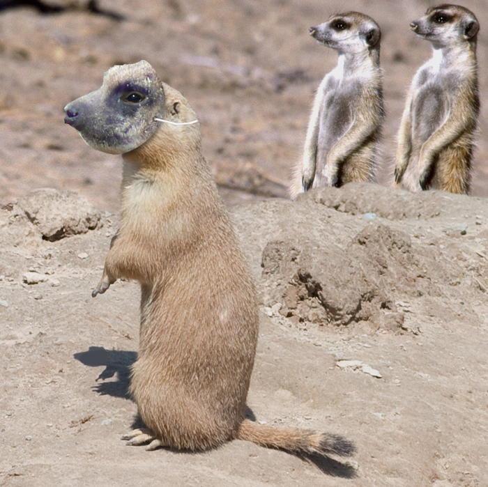 Photoshop Design by ConnieB for DesignCrowd (Community Contests) | Design #8975981