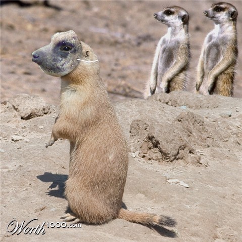 Photoshop Design by ConnieB