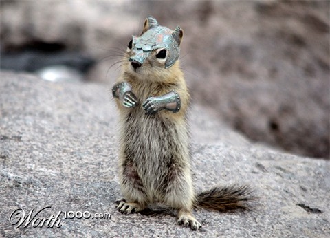 Photoshop Design by killrbeaver