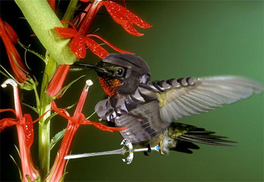 Photoshop Design by PeterAAAWelch for DesignCrowd (Community Contests) | Design #8975702