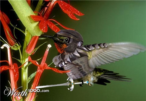 Photoshop Design by PeterAAAWelch