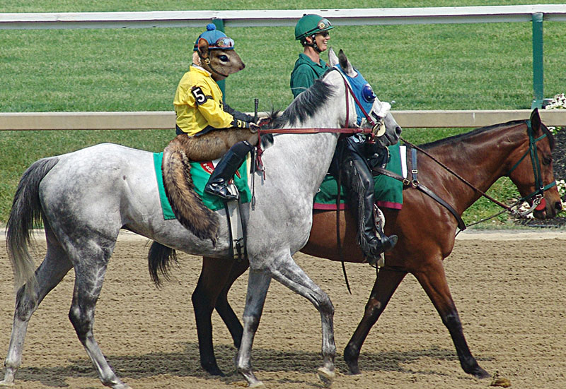 Photoshop Design by balsadragon for DesignCrowd (Community Contests) | Design #8974582