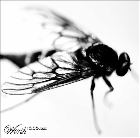 Photography by AgentSeta