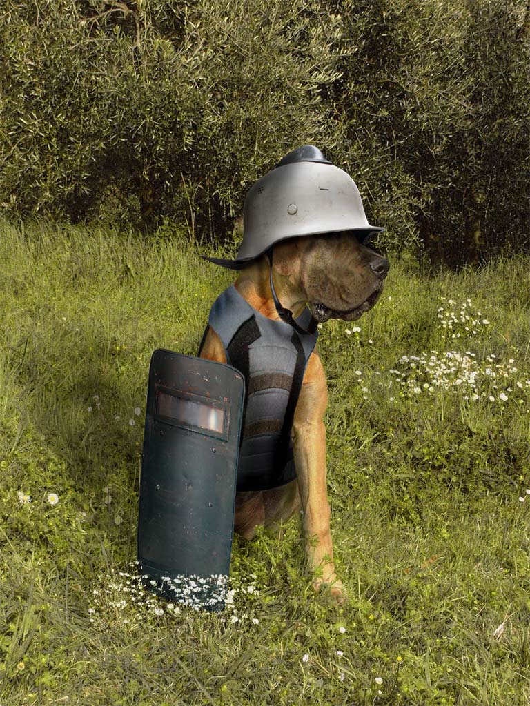 Photoshop Design by marpand for DesignCrowd (Community Contests) | Design #8975717