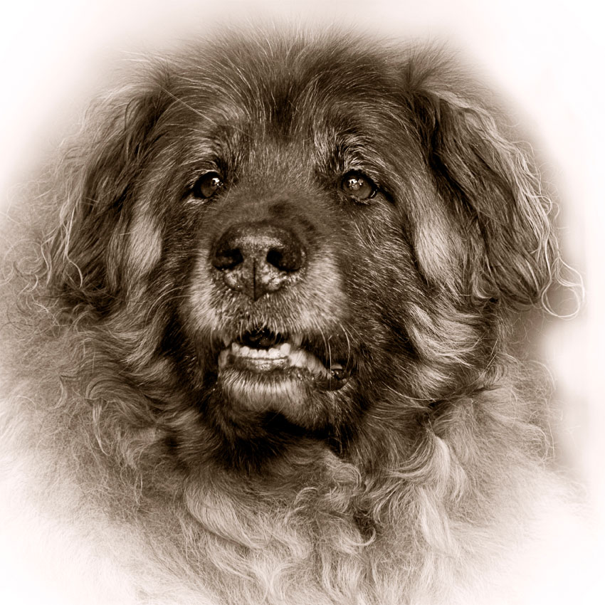 Fotografie von Marian für DesignCrowd (Community Contests) | Design #8971490