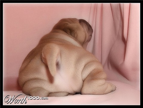 Photography by Manatee