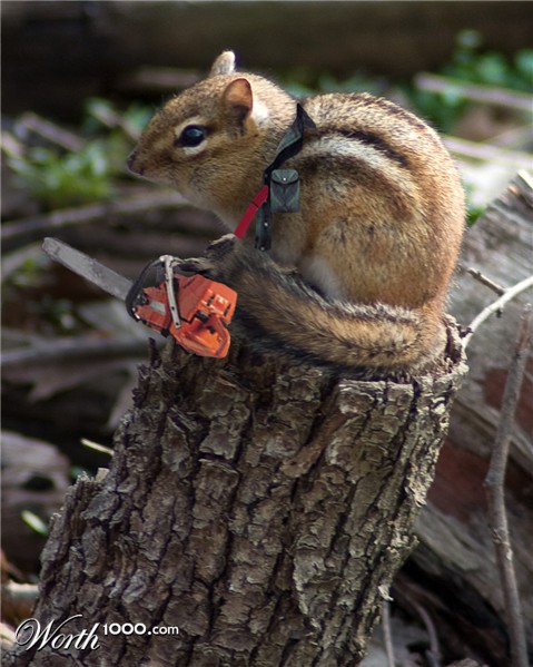 Photoshop Design by bettybud