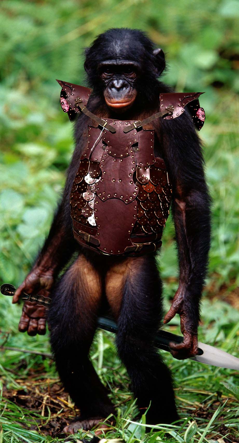 Photoshop Design by jerrylee17 for DesignCrowd (Community Contests) | Design #8975759