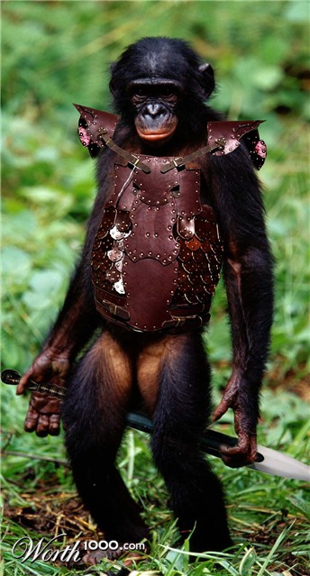 Photoshop Design by jerrylee17