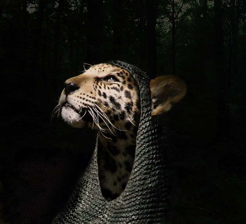 Diseño de Photoshop por zimhels para DesignCrowd (Community Contests) | Diseño #8975769