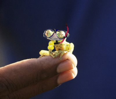 Photoshop Design by msansagraw for DesignCrowd (Community Contests) | Design #8975780