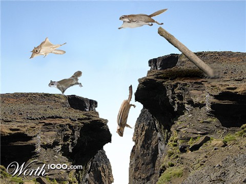 Photoshop Design by Thedudeguy