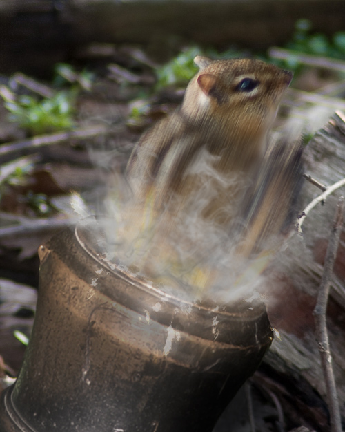 Diseño de Photoshop por varPhi para DesignCrowd (Community Contests) | Diseño #8974625