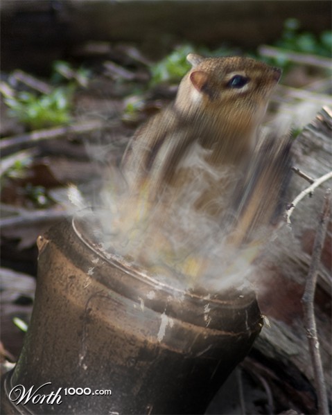 Photoshop Design by varPhi