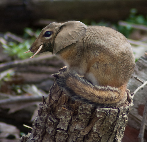 Photoshop-Design von savagebrut für DesignCrowd (Community Contests) | Design #8974612