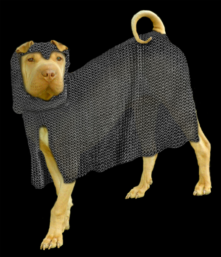 Photoshop Design by lucimine for DesignCrowd (Community Contests) | Design #8975727