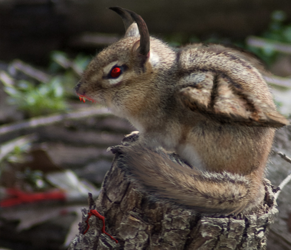 Photoshop-Design von ElLuissitzky für DesignCrowd (Community Contests) | Design #8974645