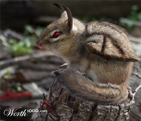 Photoshop Design by ElLuissitzky