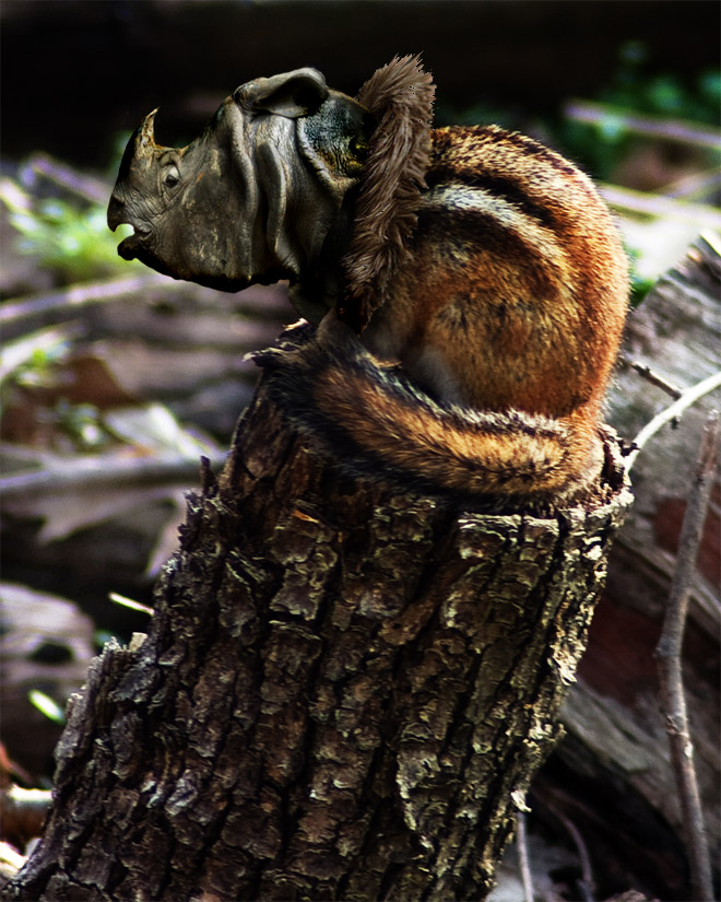 Photoshop Design by marpand for DesignCrowd (Community Contests) | Design #8974634