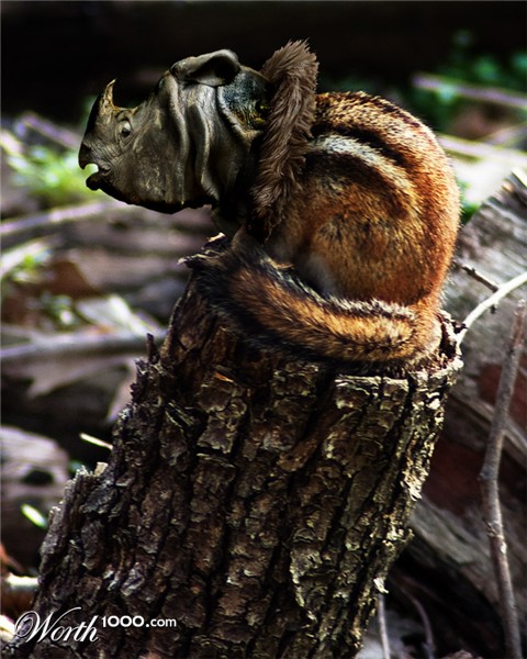 Photoshop Design by marpand