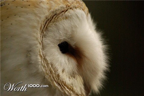 Photography by Rvannith