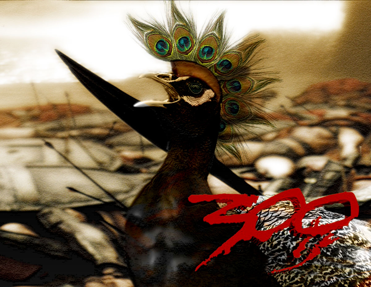 Design Photoshop par Alissia pour DesignCrowd (Community Contests) | Design #8975825