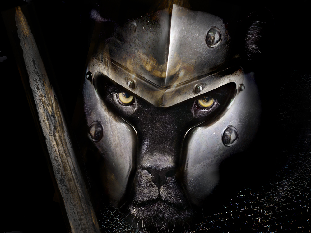 Photoshop Design by Bebo21 for DesignCrowd (Community Contests) | Design #8975834