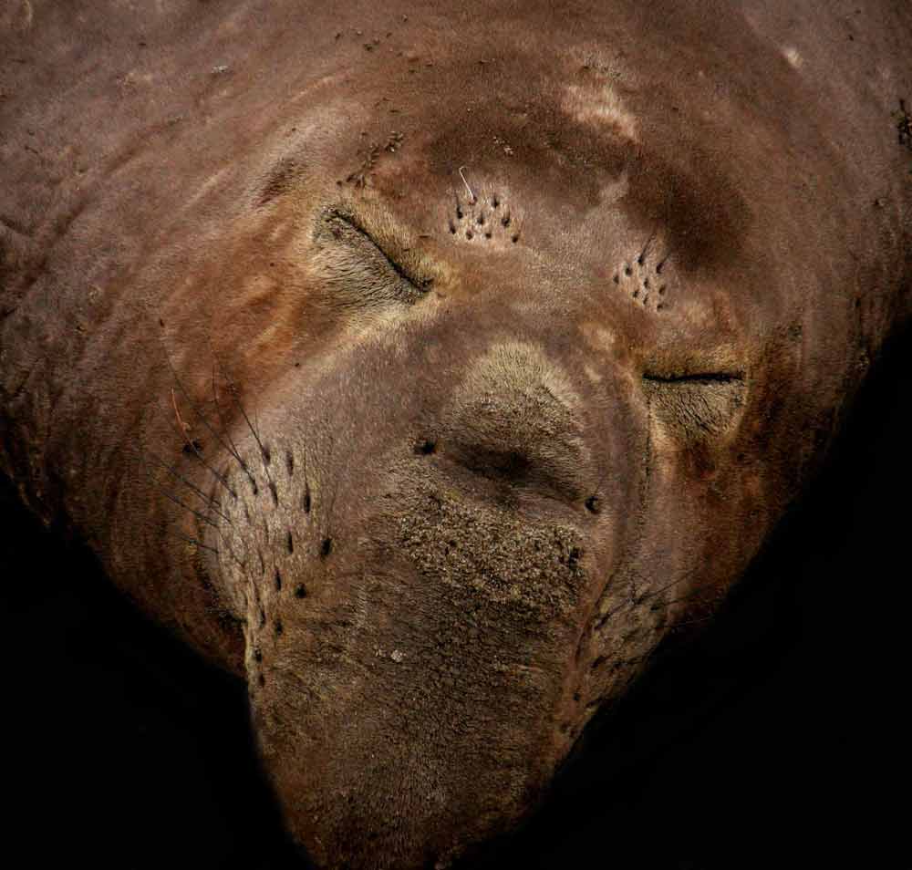 Photography by tyry222 for DesignCrowd (Community Contests) | Design #8971520