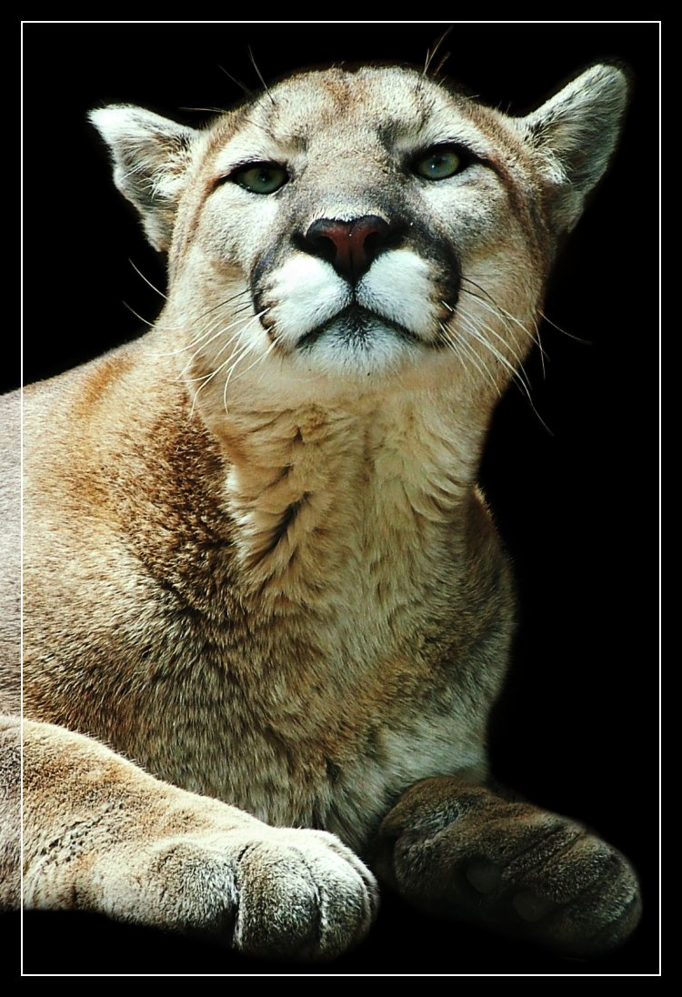 Photography by mennufer for DesignCrowd (Community Contests) | Design #8971501