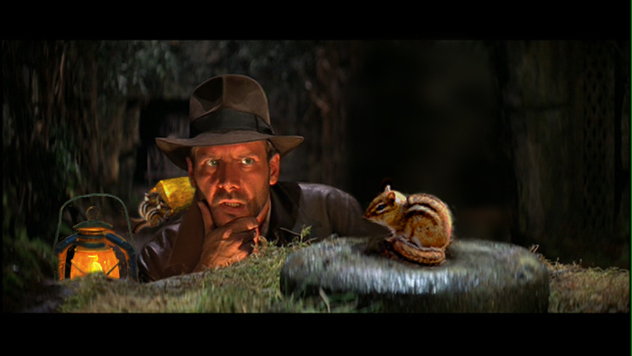 Photoshop Design by John93036 for DesignCrowd (Community Contests) | Design #8974675