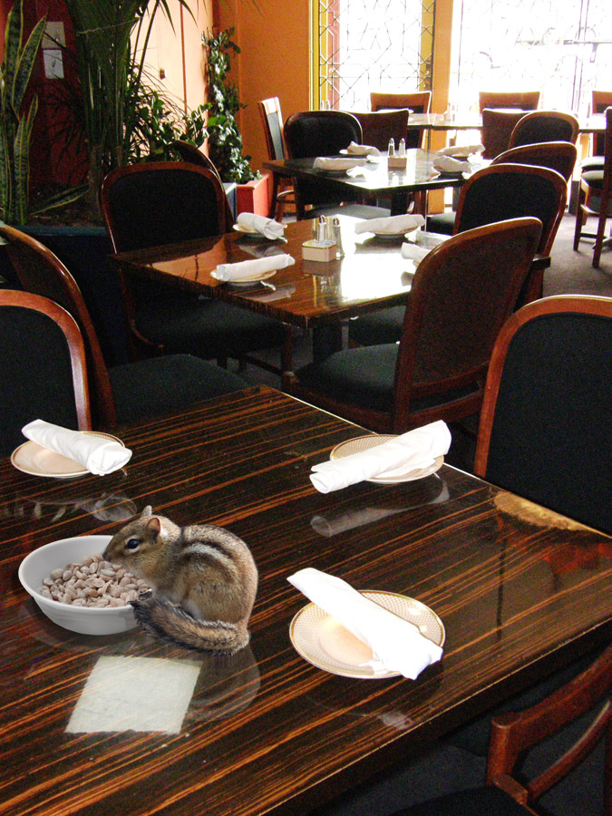 Design Photoshop par willibarb pour DesignCrowd (Community Contests) | Design #8974706