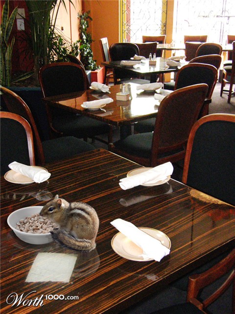 Photoshop Design by willibarb