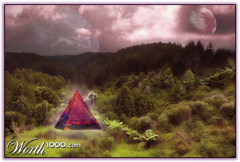 Photography by kimbomac