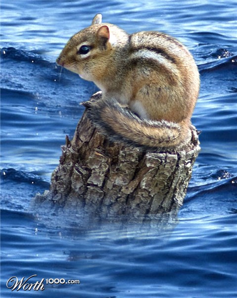 Photoshop Design by saransa