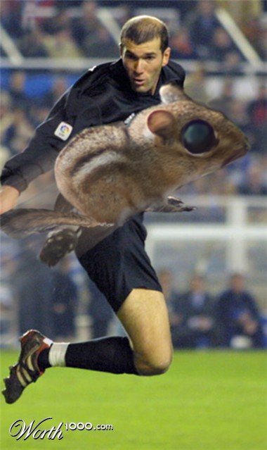 Photoshop Design by c13360