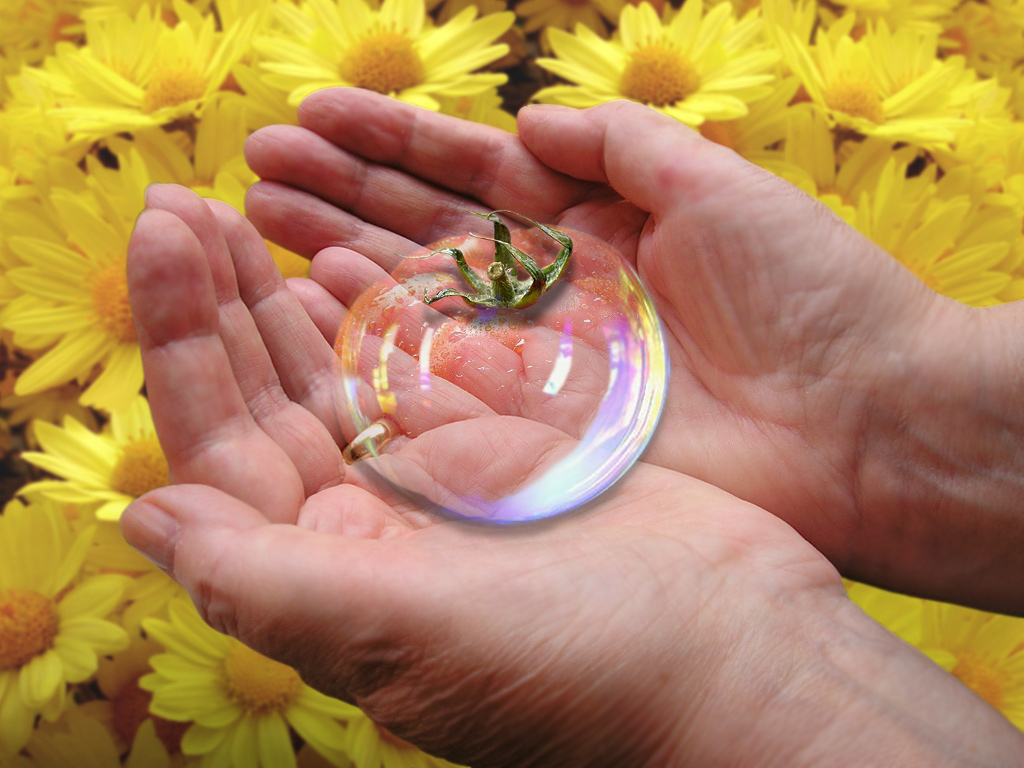 Photoshop Design by frangod for DesignCrowd (Community Contests) | Design #8974408