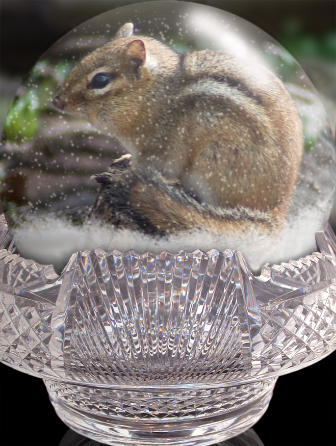 Diseño de Photoshop por lucimine para DesignCrowd (Community Contests) | Diseño #8974804