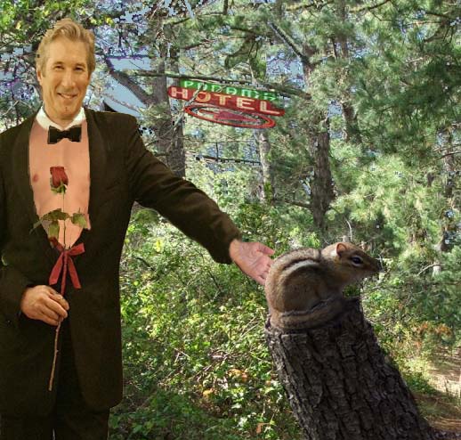 Photoshop Design by Pucker for DesignCrowd (Community Contests) | Design #8974757