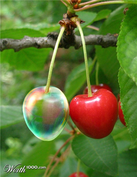 Photoshop Design by Ronschk