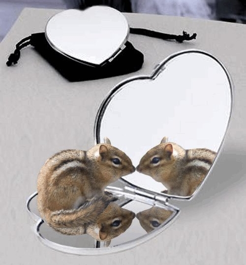 Design Photoshop par LadyHawk771 pour DesignCrowd (Community Contests) | Design #8974755