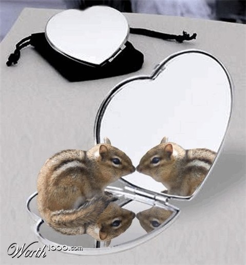 Photoshop Design by LadyHawk771