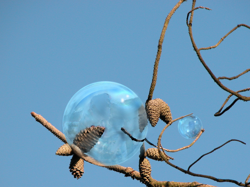 Design Photoshop par colleague pour DesignCrowd (Community Contests) | Design #8974461