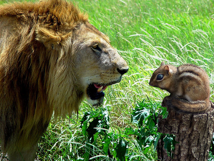 Photoshop Design by Rhiannonsmommy for DesignCrowd (Community Contests) | Design #8974746