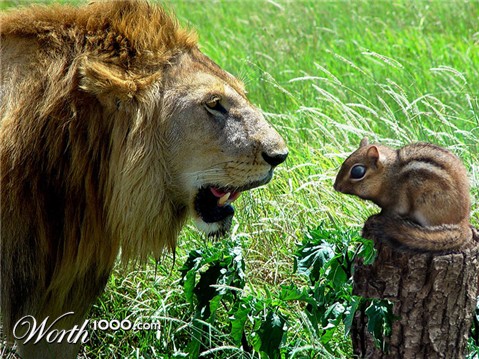 Photoshop Design by Rhiannonsmommy