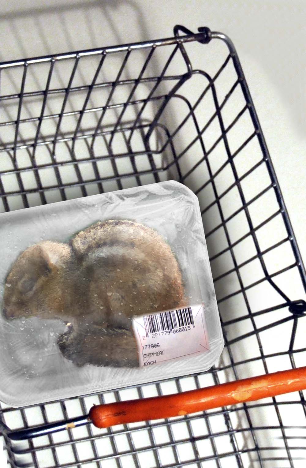 Photoshop Design by Schneem4nn for DesignCrowd (Community Contests) | Design #8974859