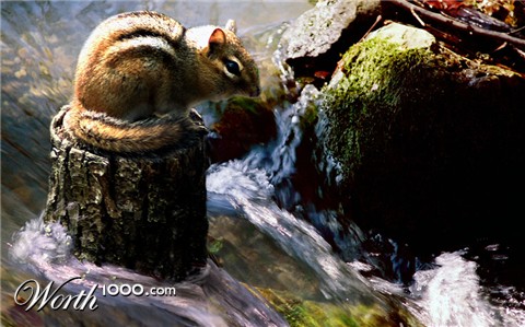 Photoshop Design by endingswithaz