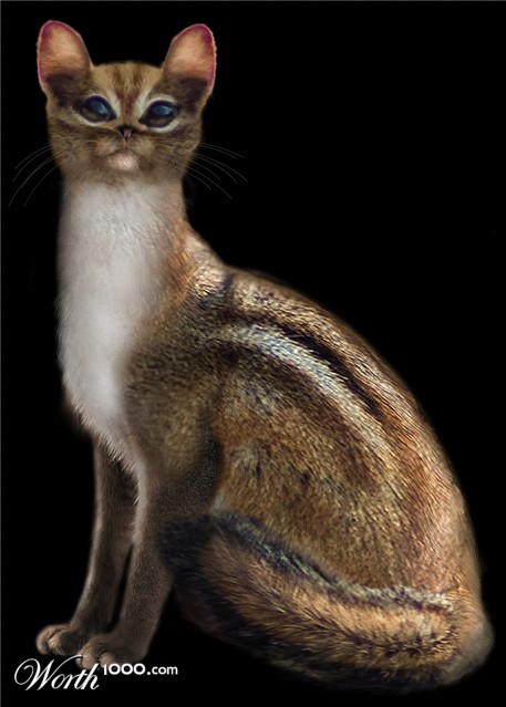 Photoshop Design by kitsune1920
