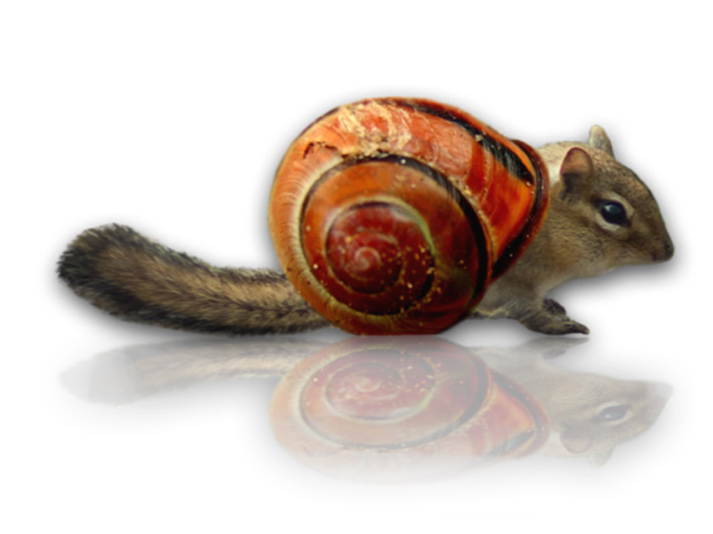 Photoshop-Design von Nonaka für DesignCrowd (Community Contests) | Design #8974808